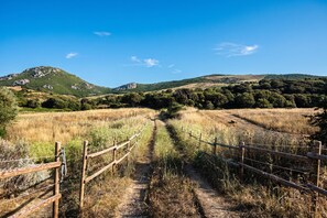 A rural landscape with a dirt path, wooden fence, and hills in the background.