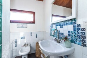 Shower, hair dryer, bidet, towels