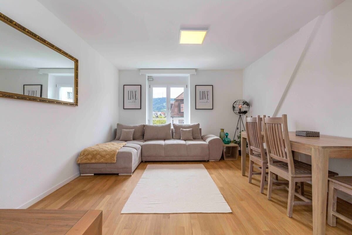 Fernseher, Arbeitsbereiche