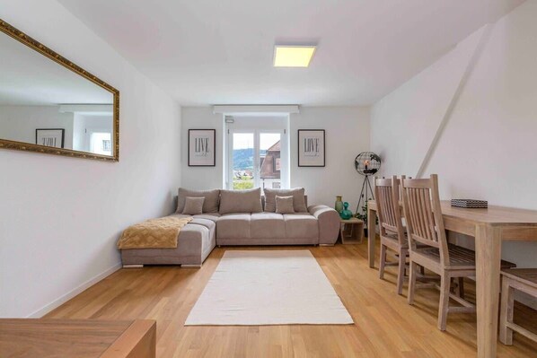 Fernseher, Arbeitsbereiche