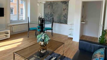 Fernseher, Arbeitsbereiche