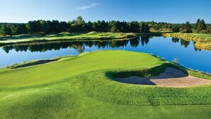 รูปภาพที่ไม่ได้จัดประเภท, 2 จาก 42, ปุ่ม