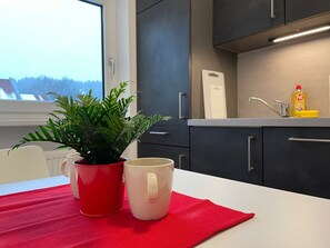 Departamento básico, 1 habitación, balcón, vista a la montaña | Cocina privada | Refrigerador con congelador, horno, parrilla de estufa y lavavajillas 