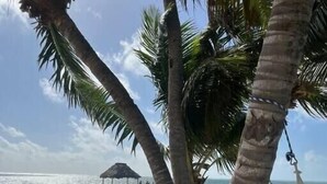 A beach scene with palm trees, a thatched-roof hut, and a hammock. - Seashell Suite, Garden & Pool Views @SapphireBeach (San Pedro Town)