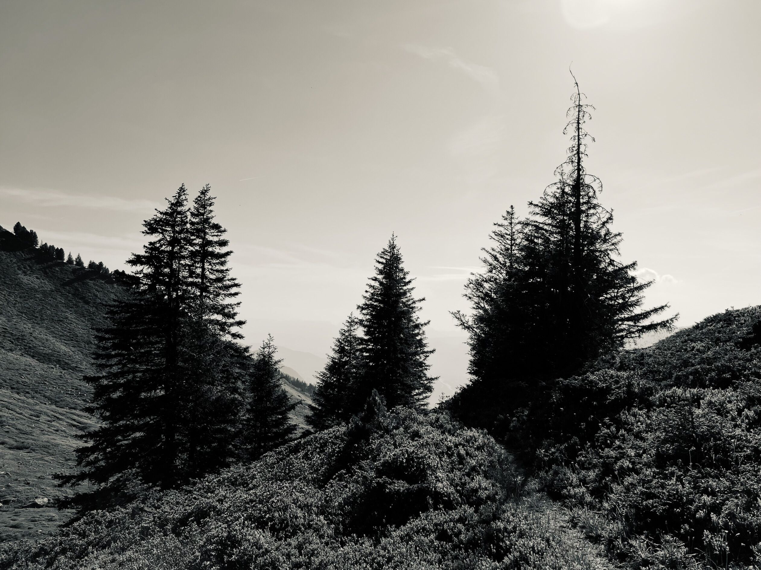 Hiking