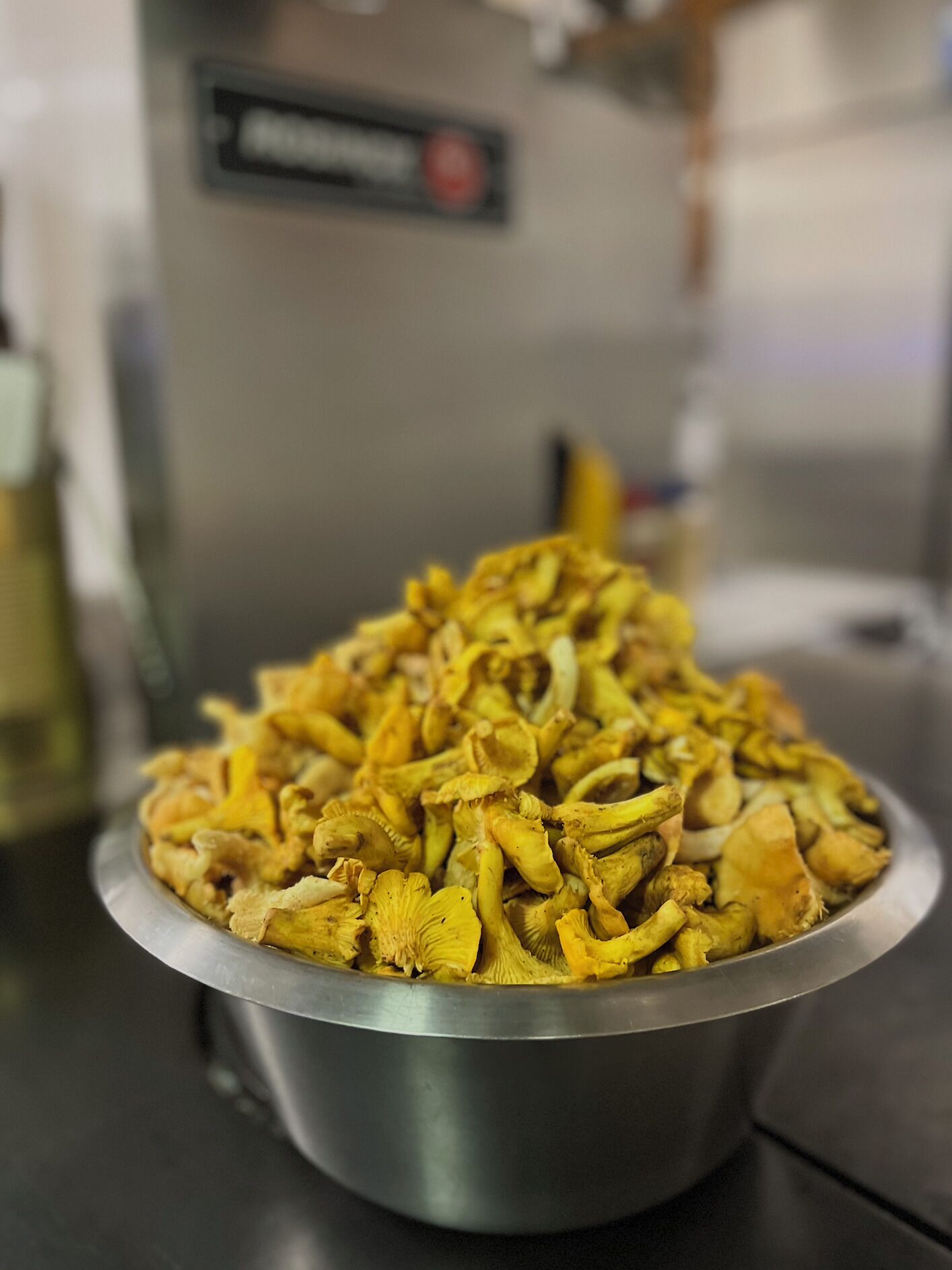 Uma tigela de aço inoxidável cheia de cogumelos secos.