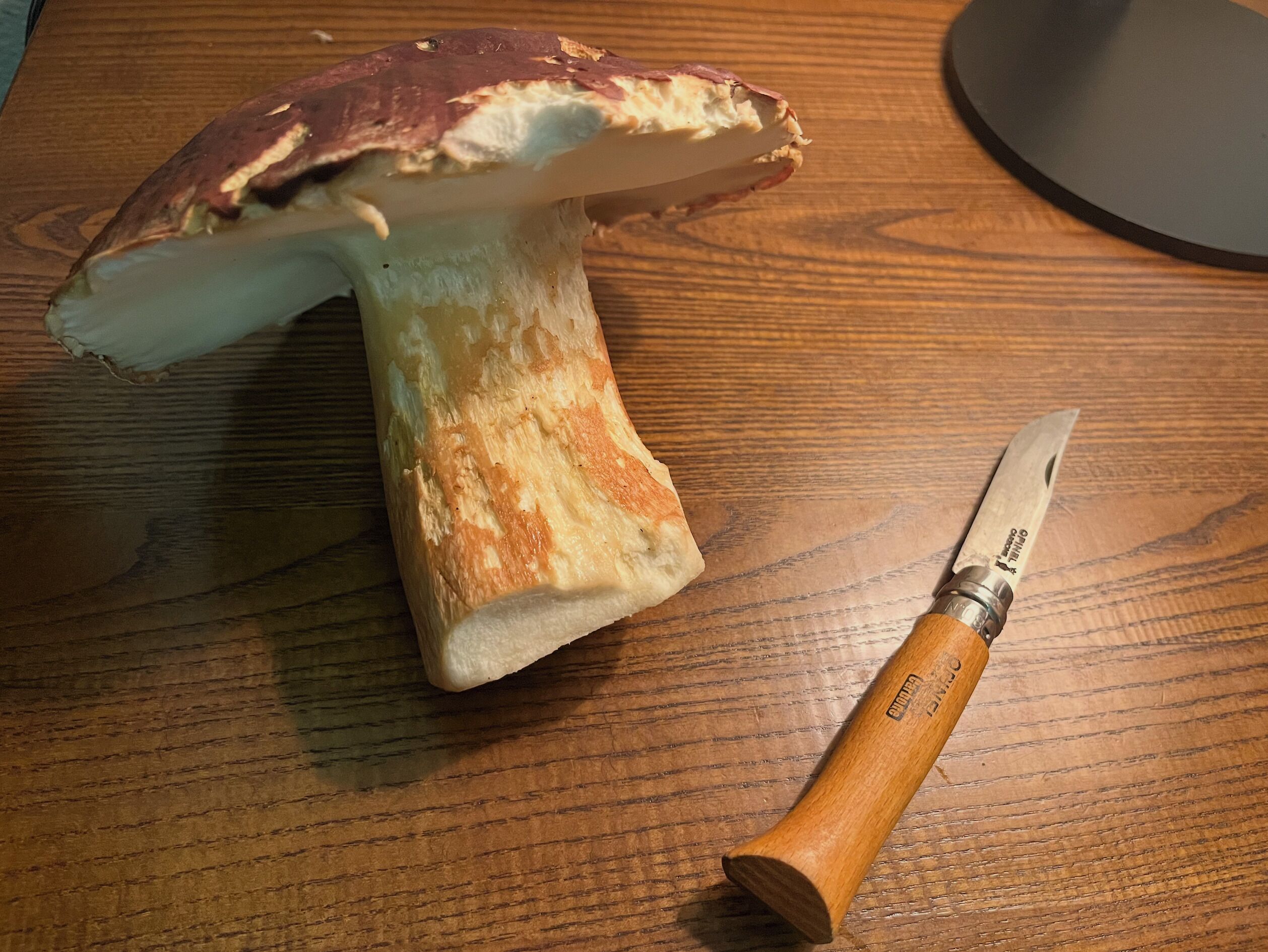 Un hongo junto a un cuchillo sobre una superficie de madera.