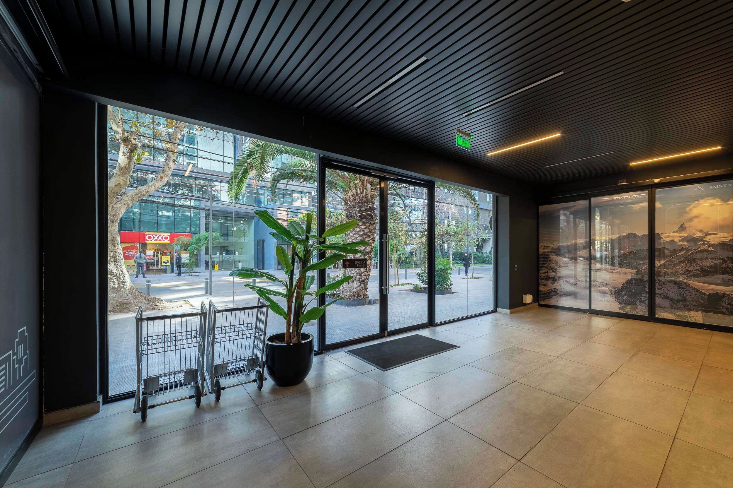 A modern interior with large windows, a potted plant, and a view of the street outside.