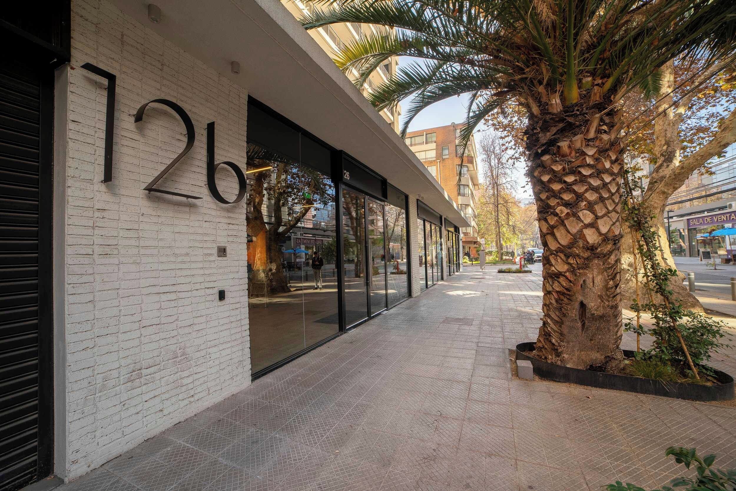 Un edifici modern amb façana de maó blanc, grans finestres de vidre i una palmera al primer terme.