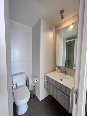 Chuveiro, secador de cabelo, toalhas de banho 