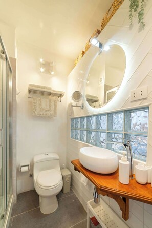 Shower, hair dryer, towels