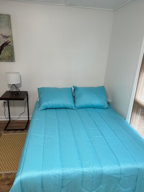 1 bedroom, iron/ironing board, WiFi, bed sheets - Private master bedroom apartment with WiFi, AC in charming Carbondale (Carbondale)