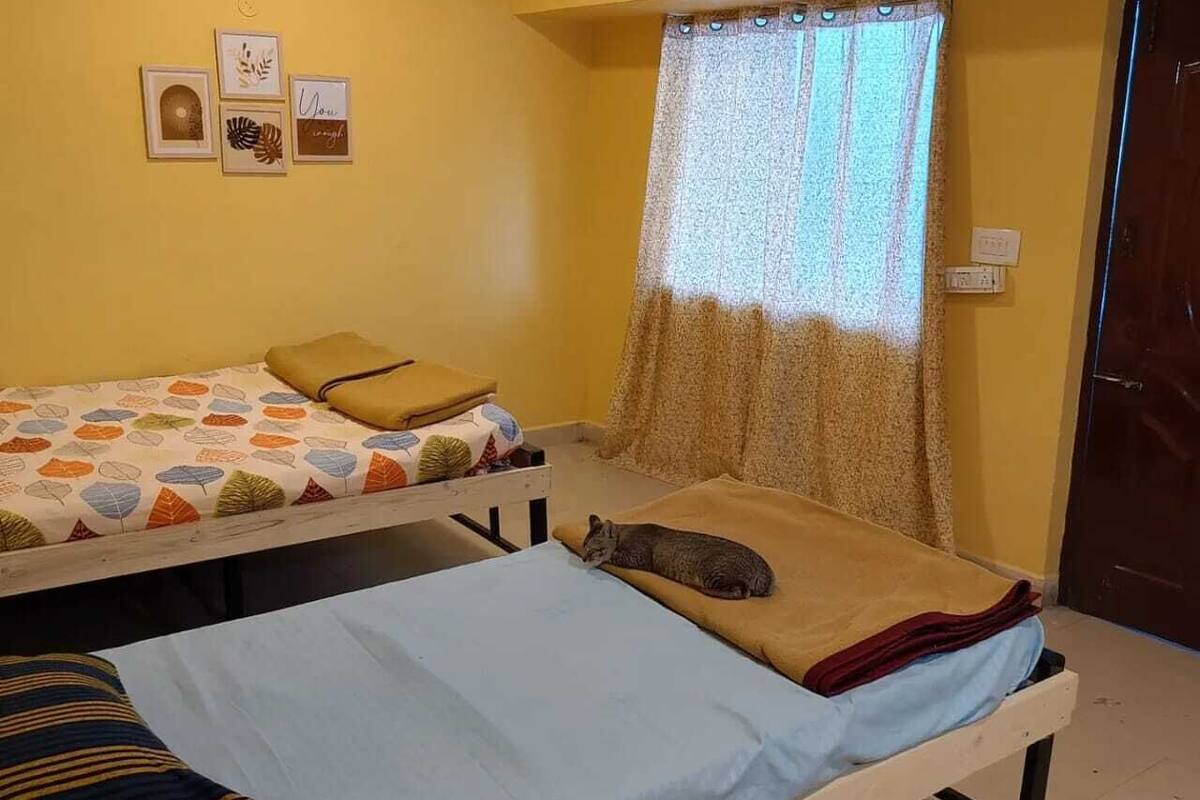 A room with two beds, a window with a curtain, and a wall with framed pictures.