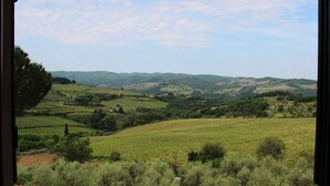 A view of rolling hills with vineyards and a distant village. - Villa Amaranto Summar (Tuscany)