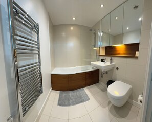 Shower, eco-friendly toiletries, hair dryer, towels