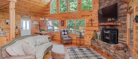 Télévision, cheminée, livres, espaces bureaux