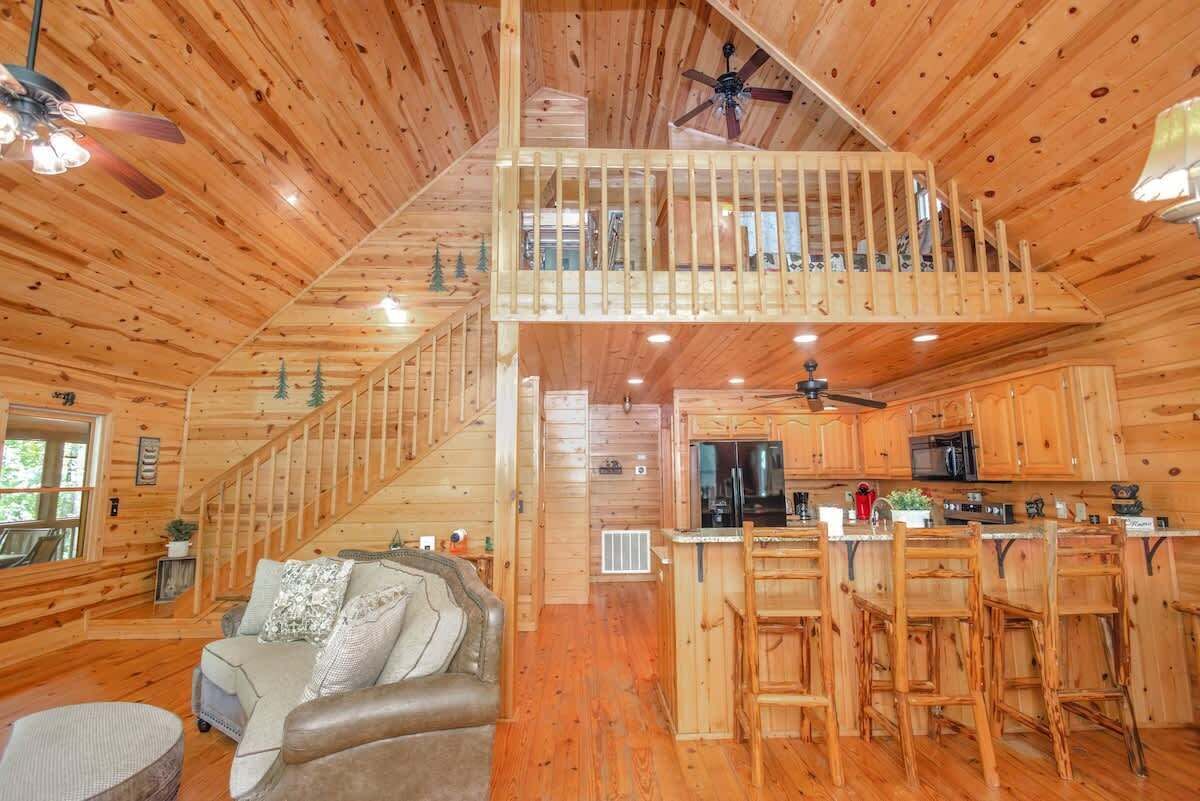 Télévision, cheminée, livres, espaces bureaux