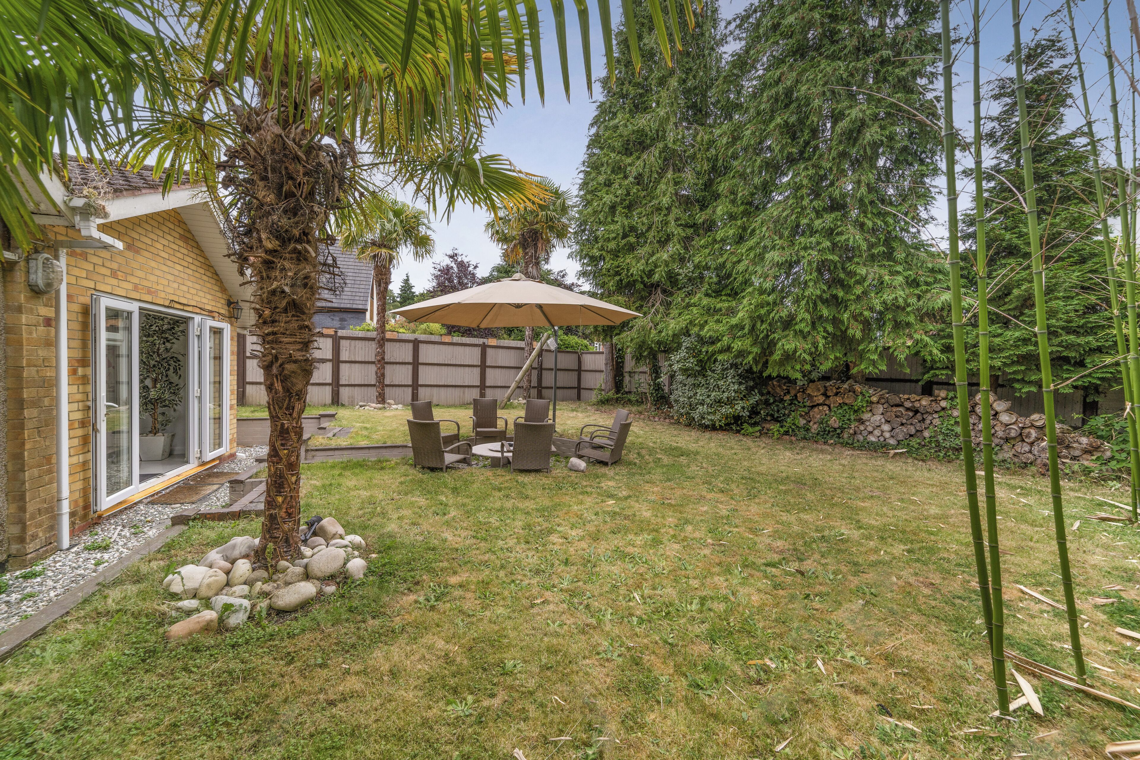 A backyard with a patio table, chairs, a palm tree, and a bamboo plant.