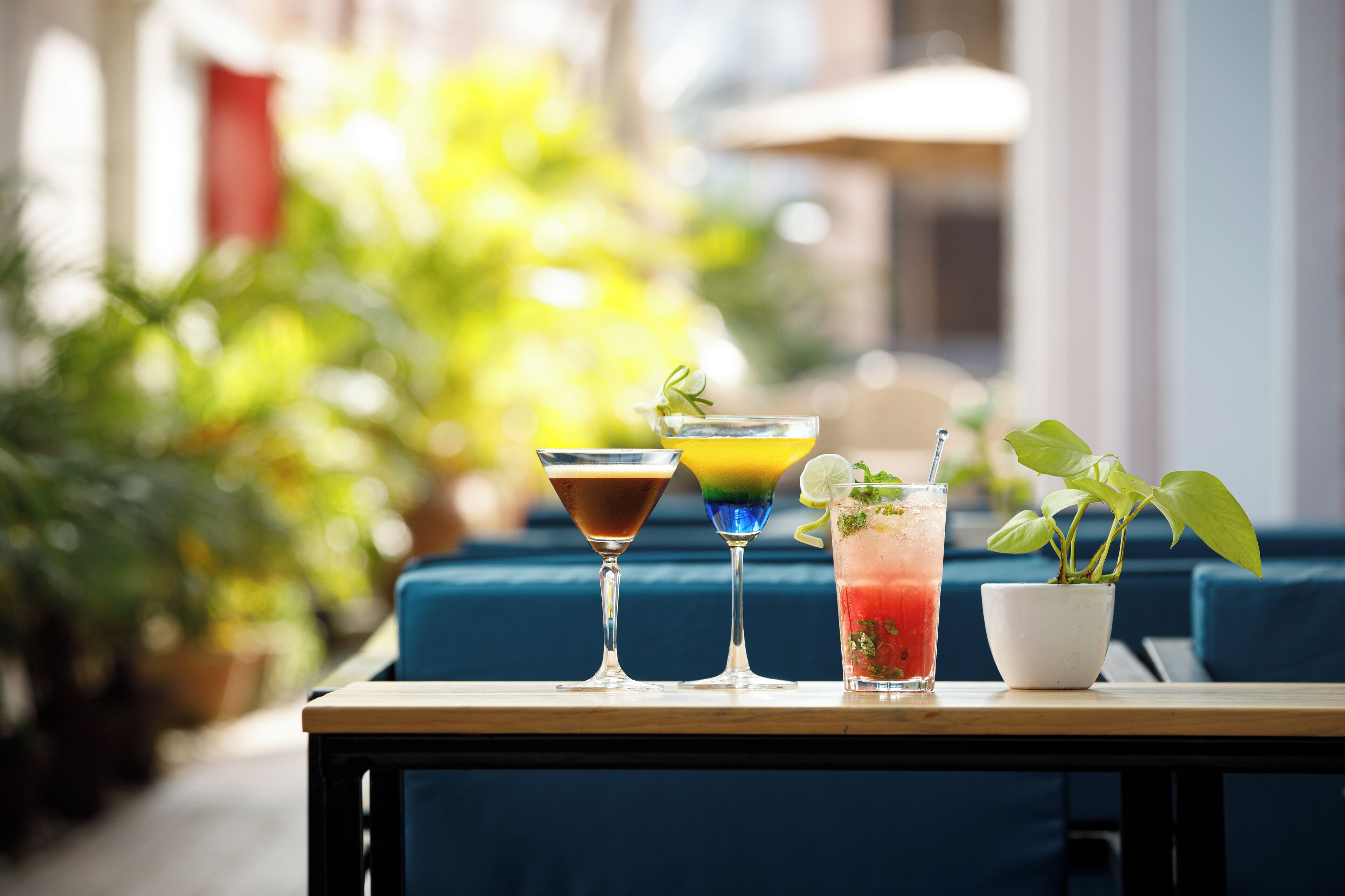 Une table avec trois cocktails colorés, une plante en pot et un canapé bleu en arrière-plan.