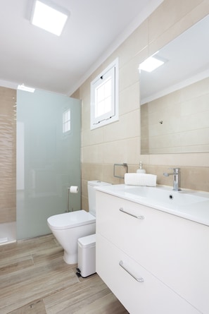 Shower, hair dryer, towels