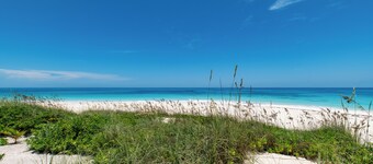 New Luxury Beachfront Bungalows w/Heated Pool, Pink-Sand Beach