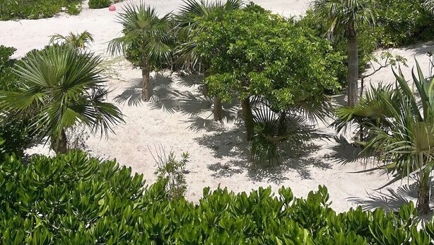 A beach with white sand, green vegetation, and a clear blue ocean. - New Luxury Beachfront Bungalows w/Heated Pool, Pink-Sand Beach (Governors Harbour)