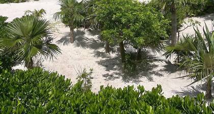 New Luxury Beachfront Bungalows w/Heated Pool, Pink-Sand Beach