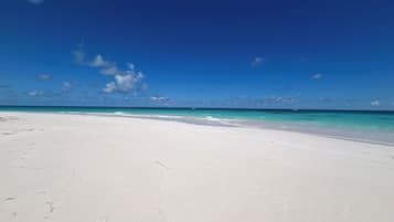 On the beach