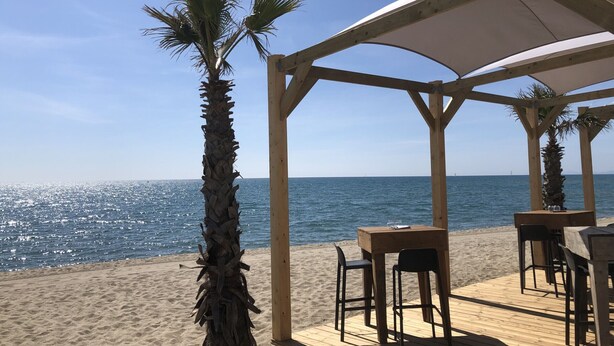 A wooden deck with tables and chairs overlooking a beach with palm trees and the sea. - Charming Studio with Balcony, Parking, 150m from Beach, Sleeps 3/4, Close to Shops and Restaurants (Le Barcarès)