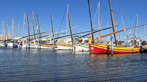 A marina with multiple boats docked. - Charming Studio with Balcony, Parking, 150m from Beach, Sleeps 3/4, Close to Shops and Restaurants (Le Barcarès)