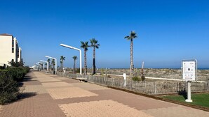 Ein gepflasterter Weg, gesäumt von Palmen und Straßenlaternen, führt zu einem Gewässer.