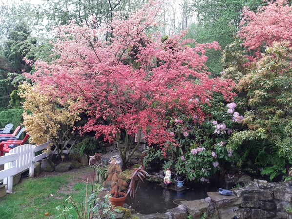 A garden with a variety of flowering trees, a small pond, and a white fence.