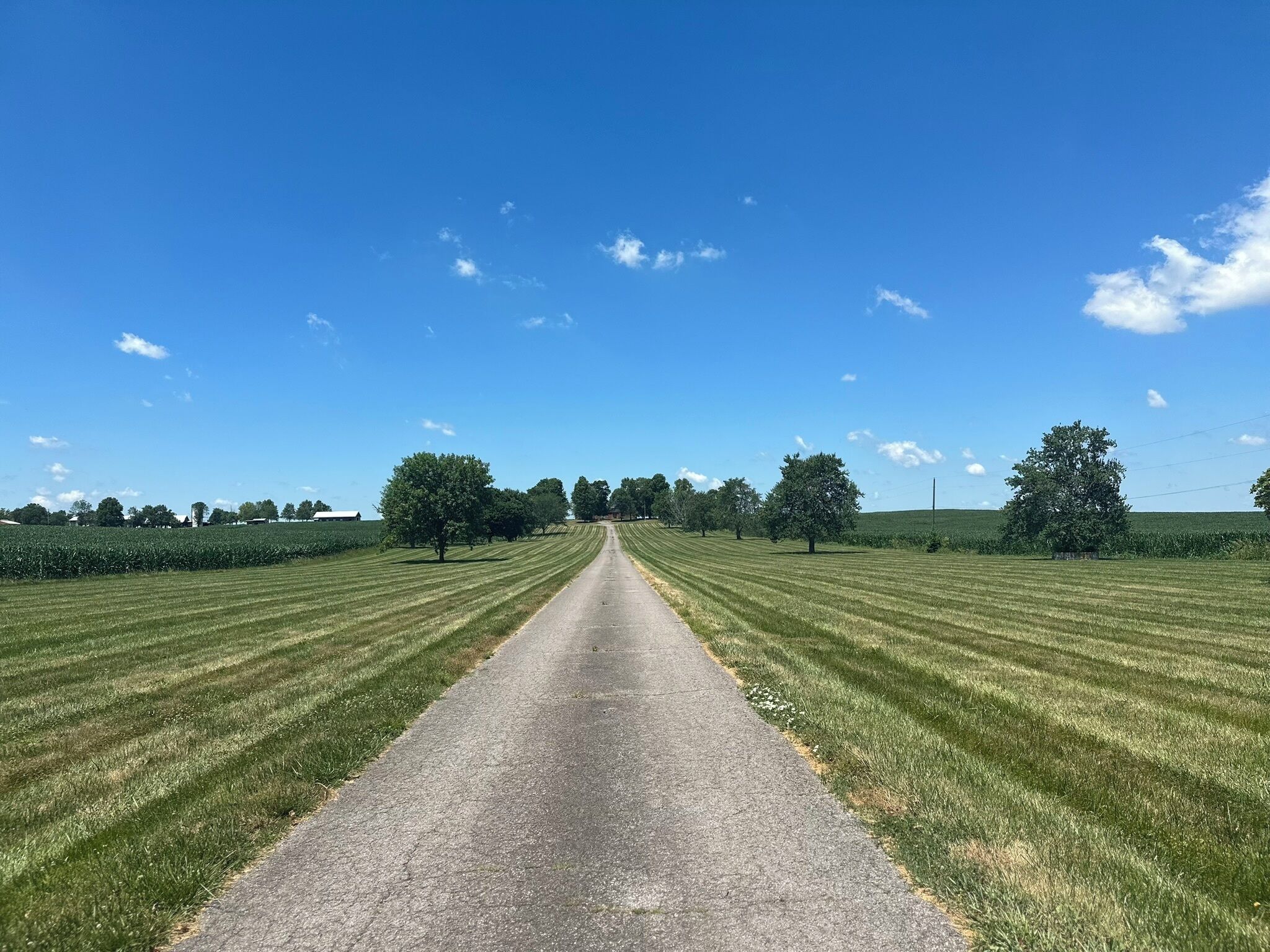 Una carretera pavimentada y recta bordeada por campos de césped uniformemente recortado y árboles bajo un cielo azul despejado.