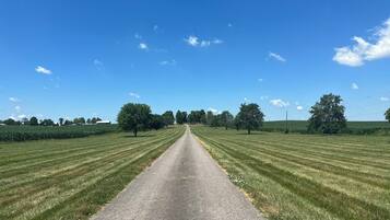 Una carretera pavimentada y recta bordeada por campos de césped uniformemente recortado y árboles bajo un cielo azul despejado.