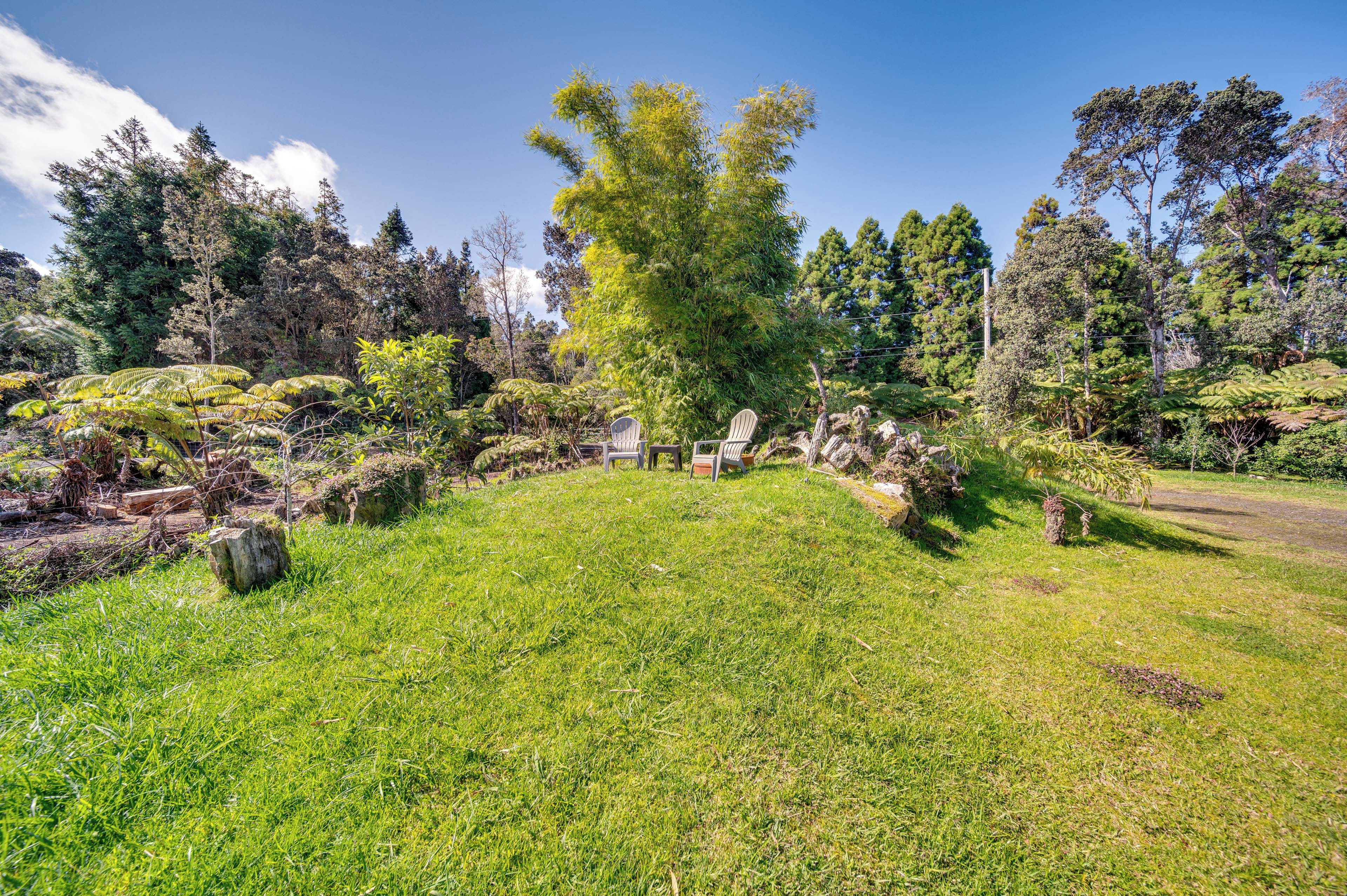 A grassy area with trees and a few chairs.