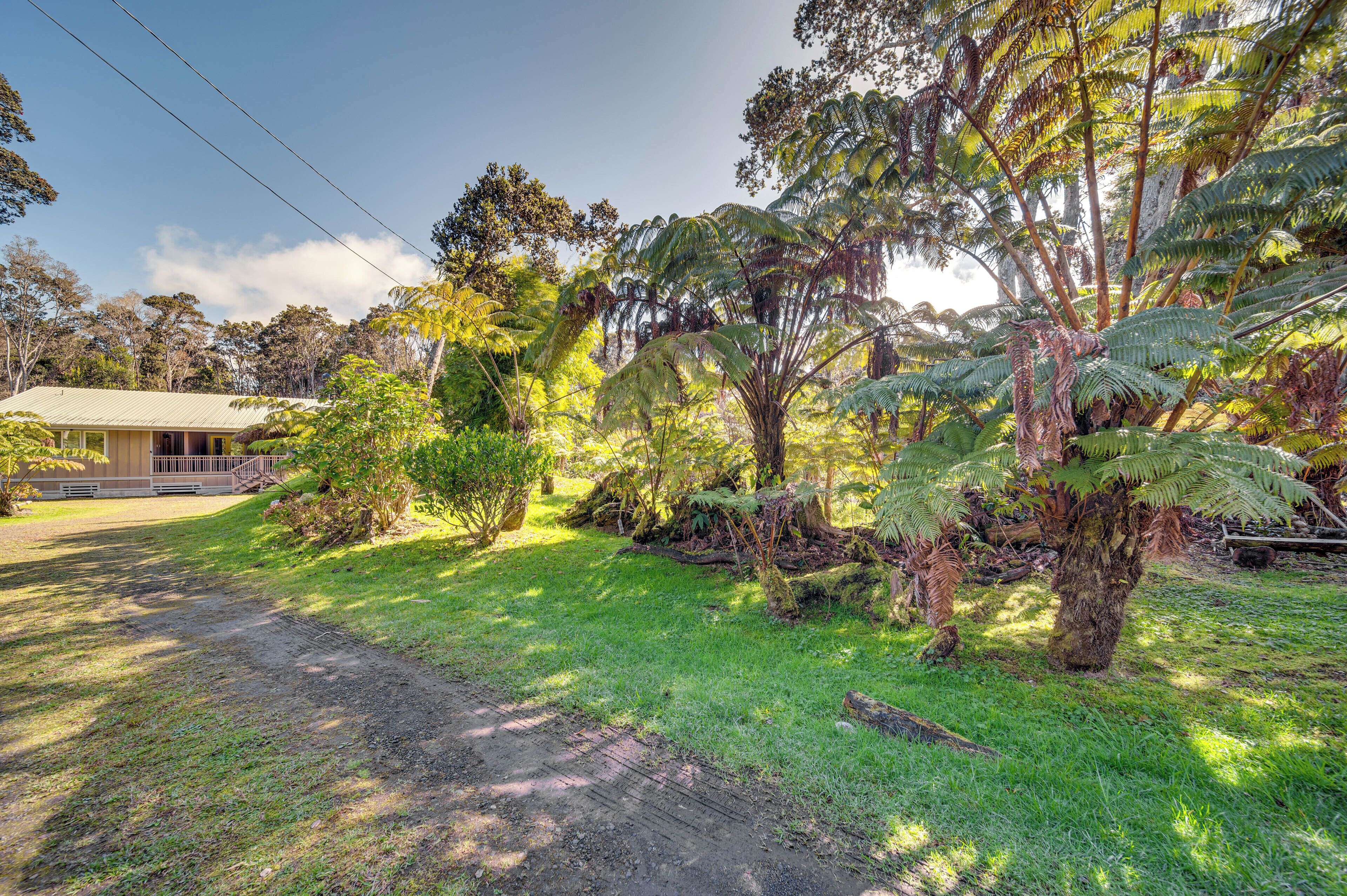 獨棟房屋 (1 Bedroom) | 住宿內部