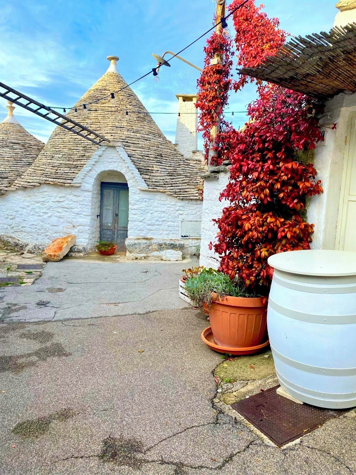 A rustic village scene with stone houses, a paved street, and potted plants.