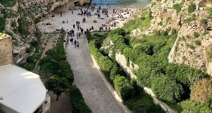 Iaru-Bed Experience House