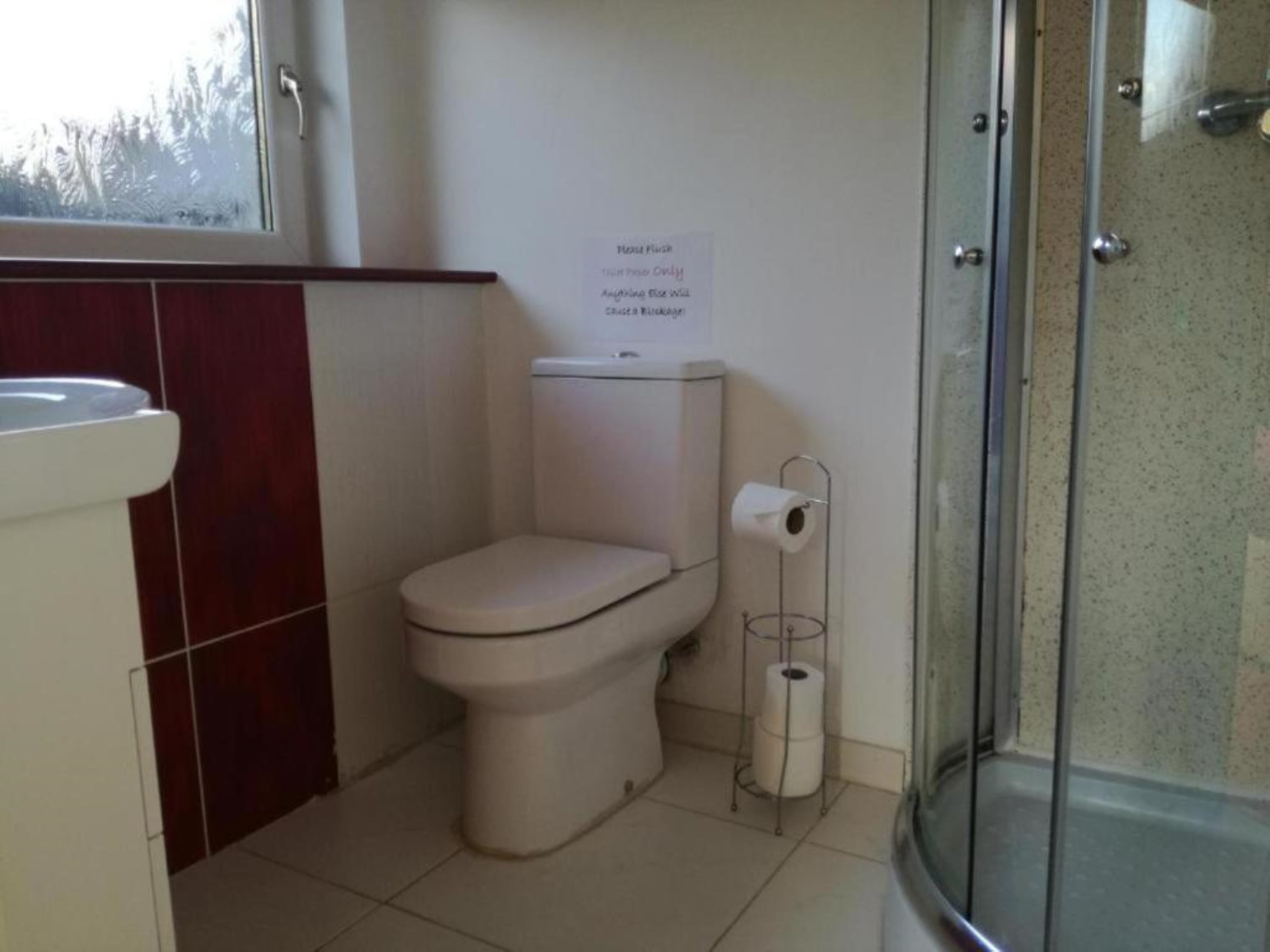 A bathroom with a toilet, a bidet, and a glass shower enclosure.