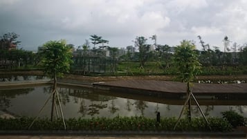 A water body with a wooden deck, surrounded by greenery and trees.