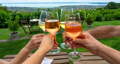 Country House Badacsony