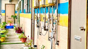 A corridor with potted plants, electrical boxes, and pipes on the wall.