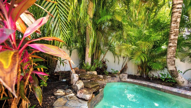 A pool surrounded by tropical plants and a stone wall. - Beautiful villa with Private Pool, short stroll to beach w/ beach gear and grill (Holmes Beach)