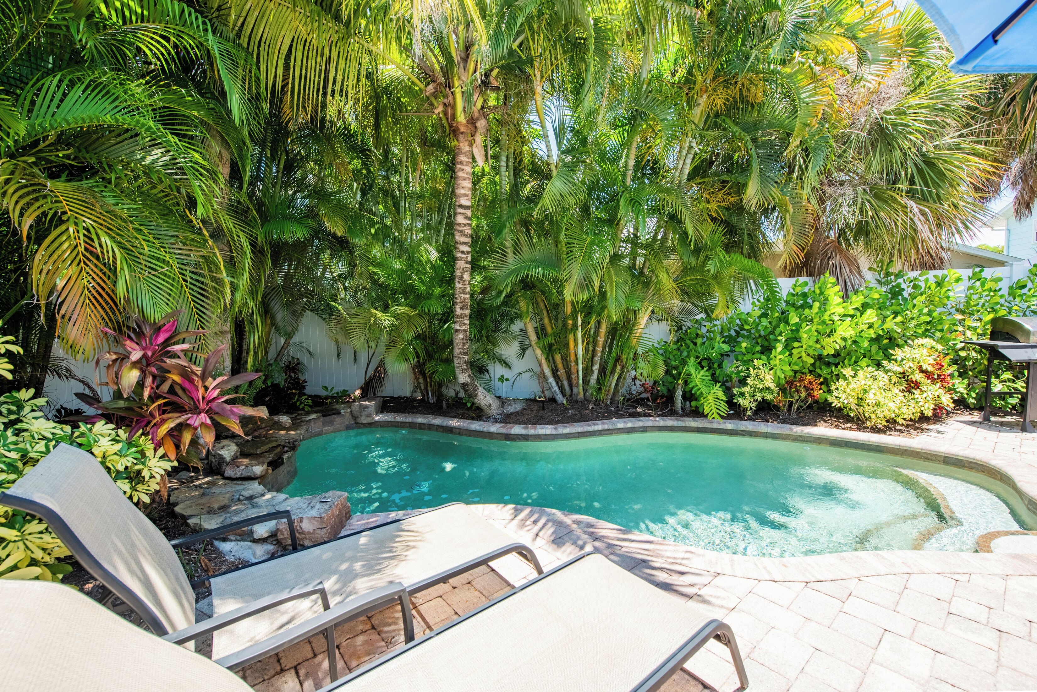 A pool surrounded by lush tropical plants and a white wall.
