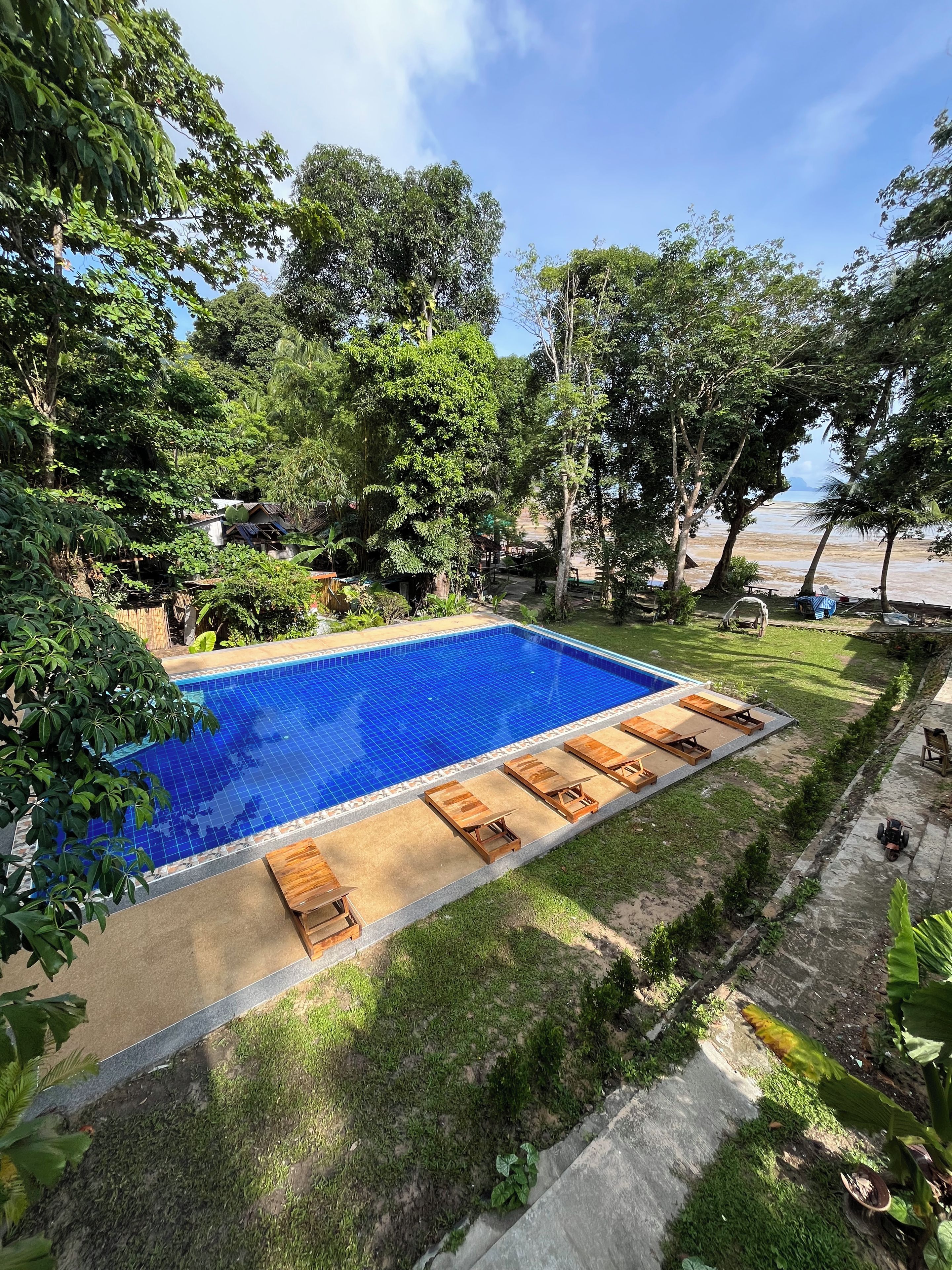 Piscina con sillas de descanso y zona verde, rodeada de árboles.