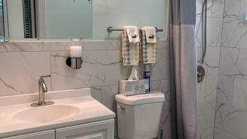 Un baño con tocador blanco, inodoro, ducha con puerta de cristal y espejo con luz superior.