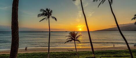 A sunset view with palm trees, a beach, and a golf course.
