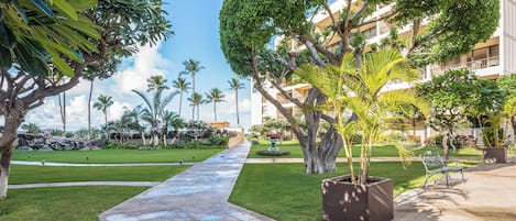 A well-maintained hotel courtyard with a paved walkway, lush greenery, and a large tree with a unique shape.