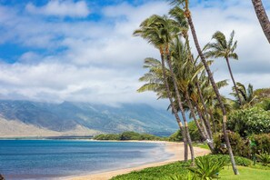 Condo, 1 Bedroom | Beach | On the beach - Sugar Beach Resort, #235 1 Bedroom Condo by RedAwning (Kihei)