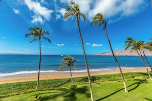 A beach with palm trees and a clear sky. - Sugar Beach Resort, #235 1 Bedroom Condo by RedAwning (Kihei)